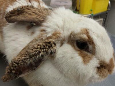 Lucía i la rotonda de Tarragona