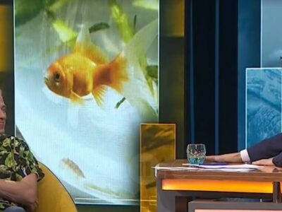 Xavier Valls al programa Obrim Fil de RTVE